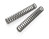 main spring (30,5) 8,5-260 Fork