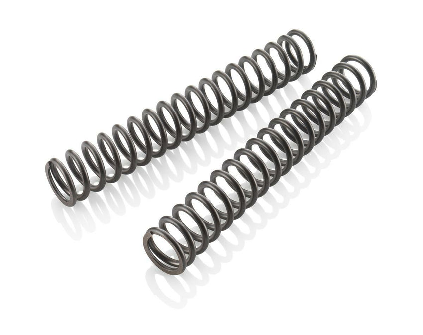 Mainspring (30,5) 6,5-260 fork