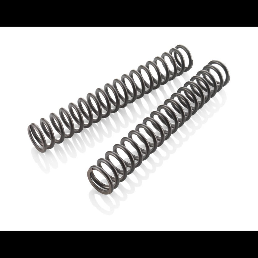 Fork spring set